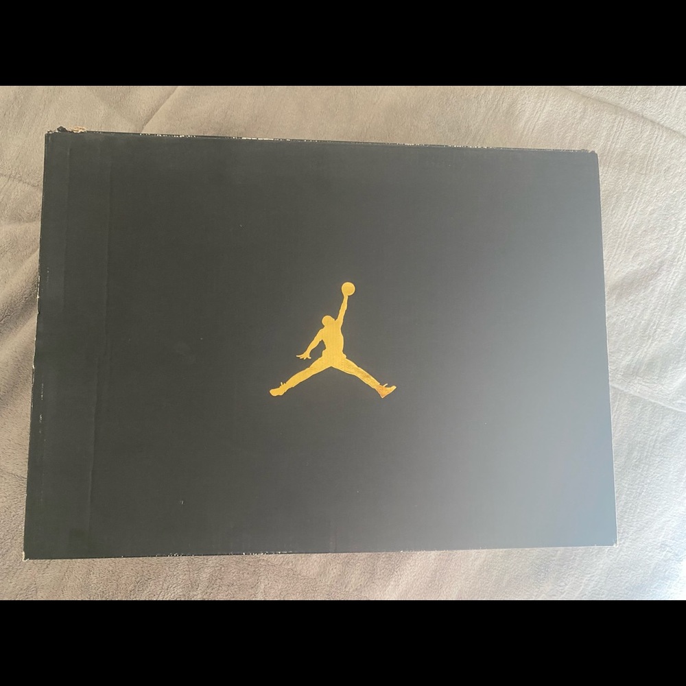 AIR JORDAN RETRO 10